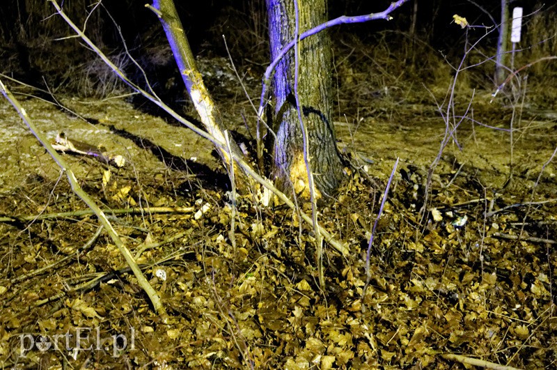 Wypadek w Dąbrowie: jedna osoba ranna zdjęcie nr 98937