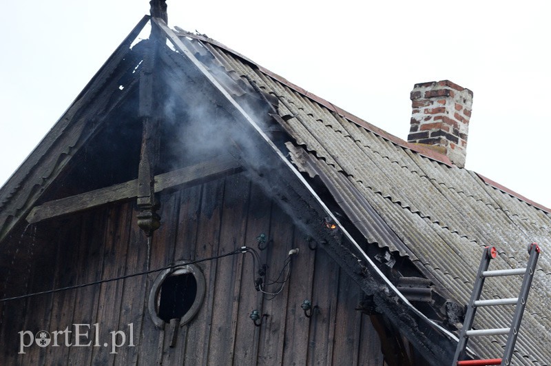 Pożar w Raczkach Elbląskich zdjęcie nr 99081