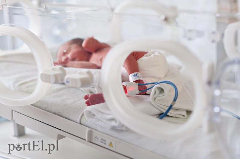 WOŚP pomaga elbląskim szpitalom zdjęcie nr 99126