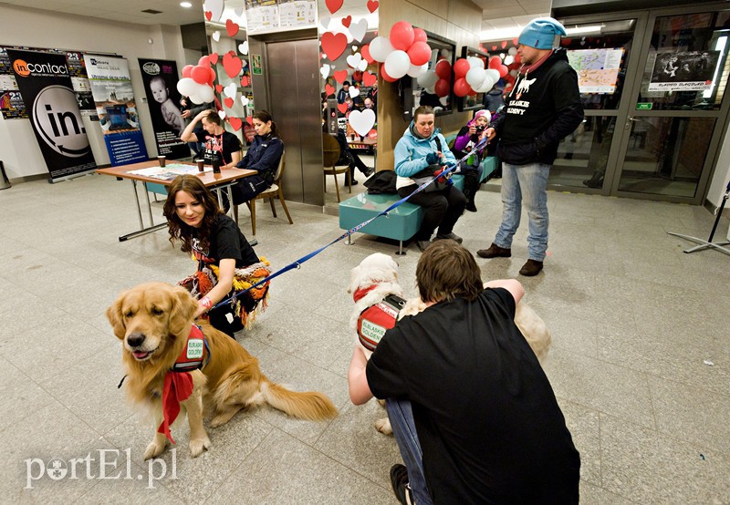Udało się! Również i Elbląg zagrał z Orkiestrą! zdjęcie nr 99345