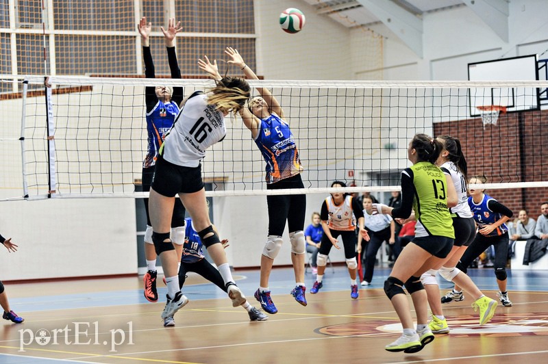 Orzeł z kompletem punktów zdjęcie nr 99391