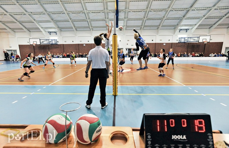 Orzeł z kompletem punktów zdjęcie nr 99387