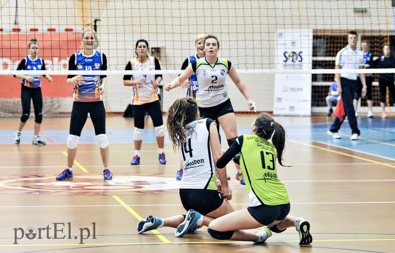 Orzeł z kompletem punktów zdjęcie nr 99386