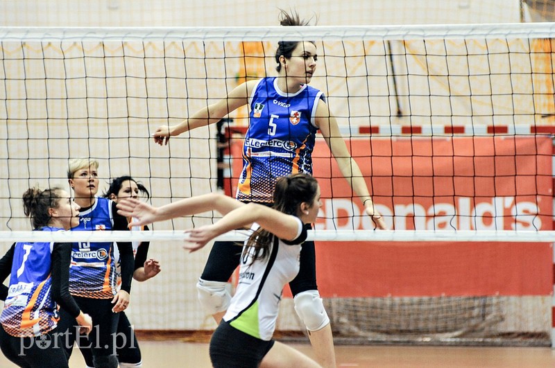 Orzeł z kompletem punktów zdjęcie nr 99378