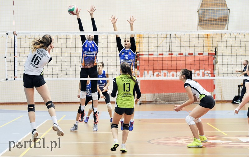 Orzeł z kompletem punktów zdjęcie nr 99382