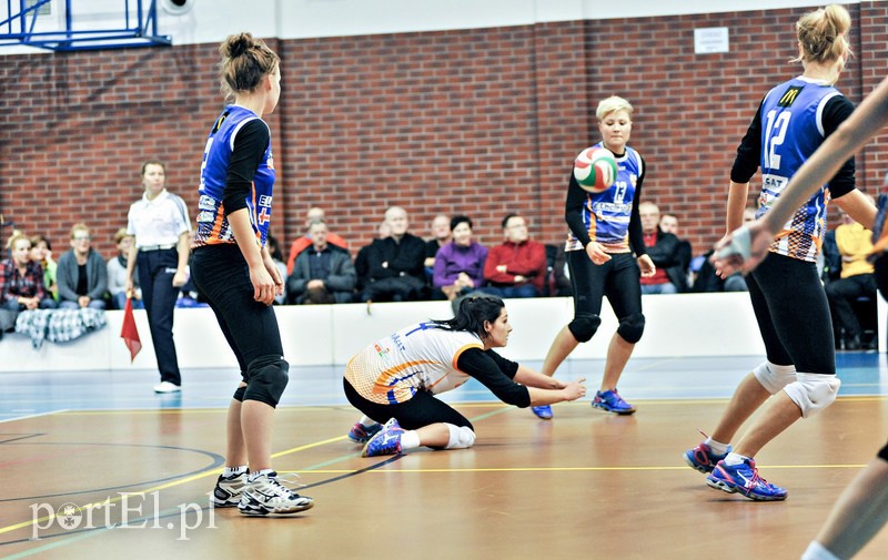 Orzeł z kompletem punktów zdjęcie nr 99392