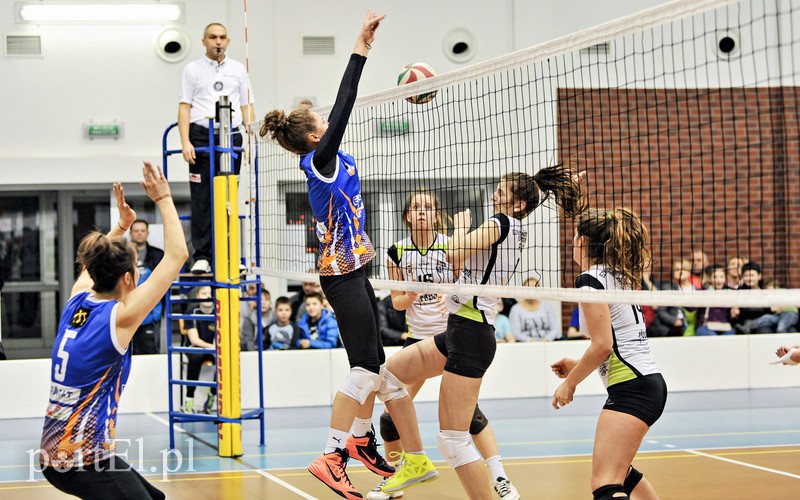 Orzeł z kompletem punktów zdjęcie nr 99395