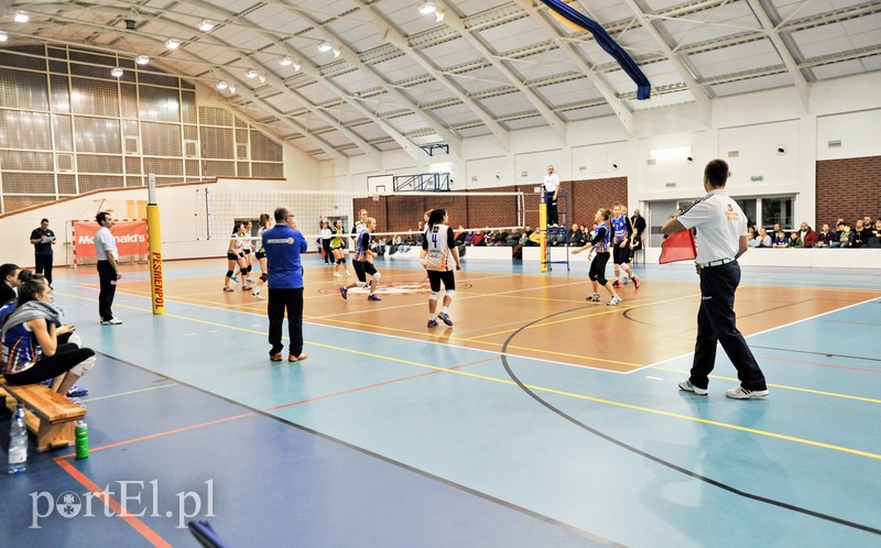 Orzeł z kompletem punktów zdjęcie nr 99388