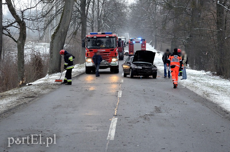 Dąbrowa Kolonia: oplem w dwa drzewa zdjęcie nr 100874