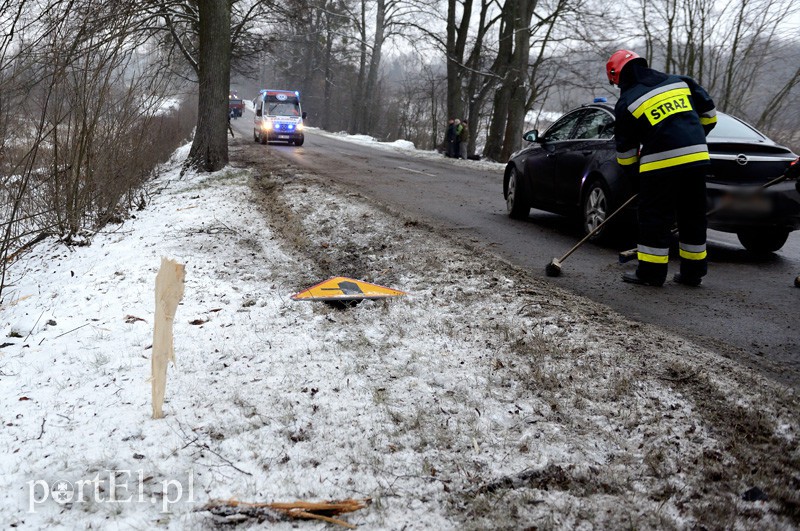 Dąbrowa Kolonia: oplem w dwa drzewa zdjęcie nr 100871