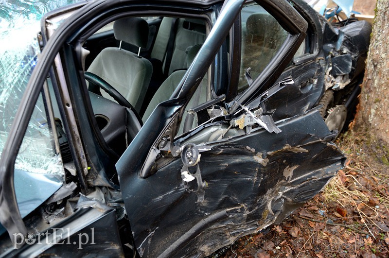 Nowe Monasterzysko: nissanem w drzewo zdjęcie nr 101081