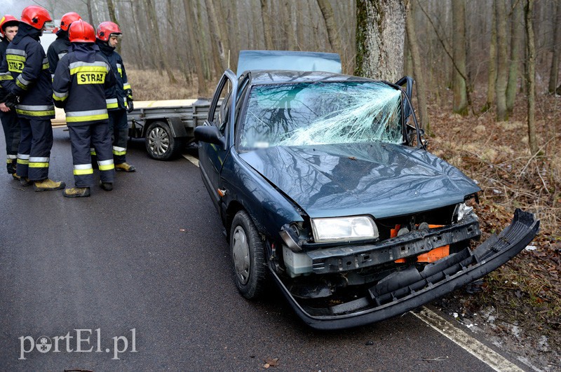 Nowe Monasterzysko: nissanem w drzewo zdjęcie nr 101076