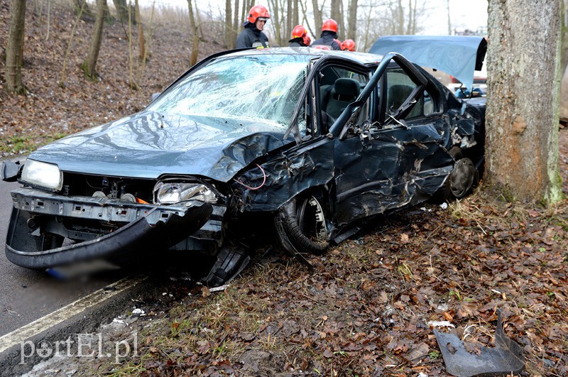 Nowe Monasterzysko: nissanem w drzewo zdjęcie nr 101077