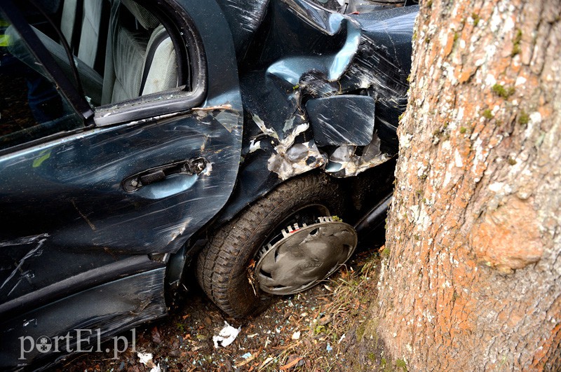 Nowe Monasterzysko: nissanem w drzewo zdjęcie nr 101082