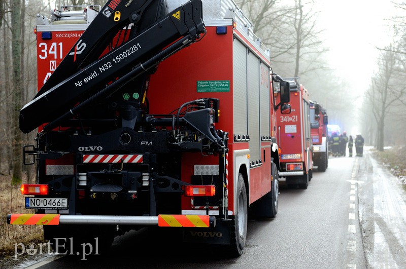 Elbląg Nowe Monasterzysko: nissanem w drzewo