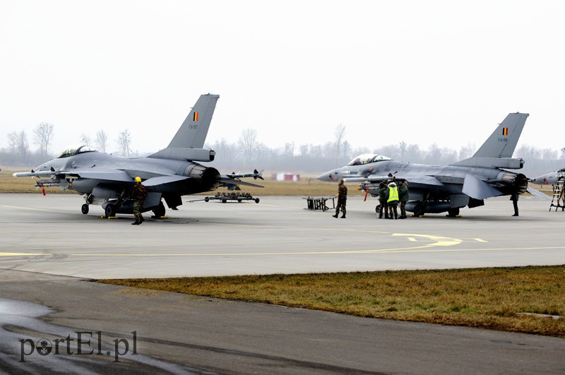   "Odlotowi" Belgowie w Królewie Malborskim zdjęcie nr 101131