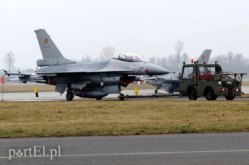   "Odlotowi" Belgowie w Królewie Malborskim zdjęcie nr 101146