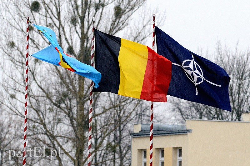   "Odlotowi" Belgowie w Królewie Malborskim zdjęcie nr 101138