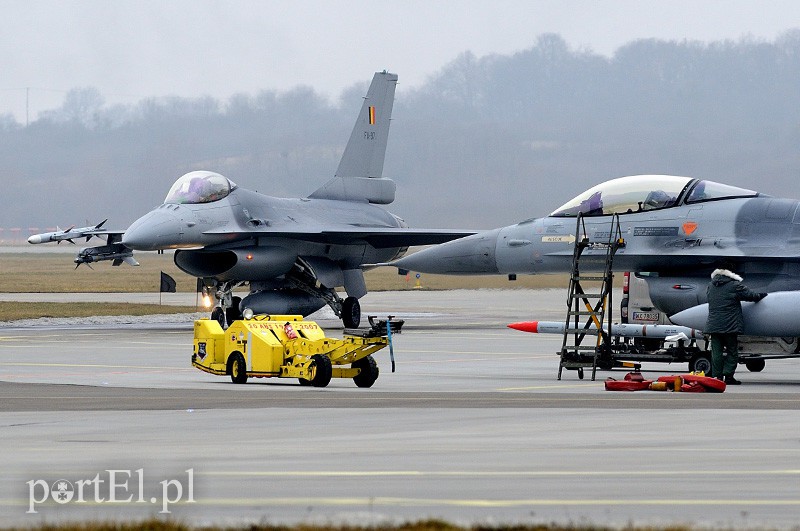   "Odlotowi" Belgowie w Królewie Malborskim zdjęcie nr 101163