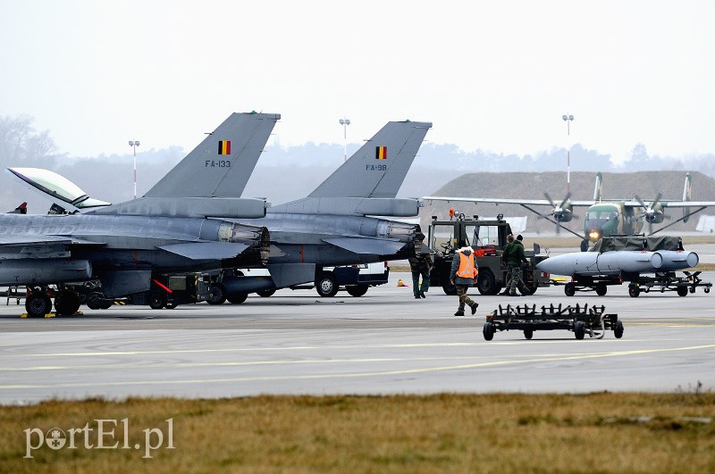   "Odlotowi" Belgowie w Królewie Malborskim zdjęcie nr 101157