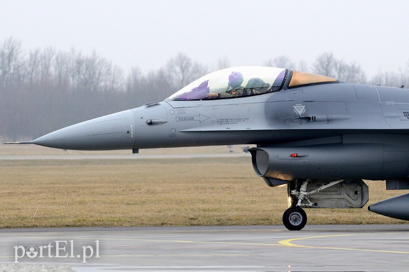   "Odlotowi" Belgowie w Królewie Malborskim zdjęcie nr 101140