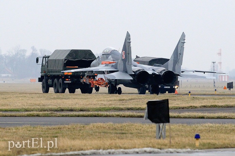   "Odlotowi" Belgowie w Królewie Malborskim zdjęcie nr 101134