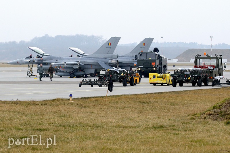   "Odlotowi" Belgowie w Królewie Malborskim zdjęcie nr 101143