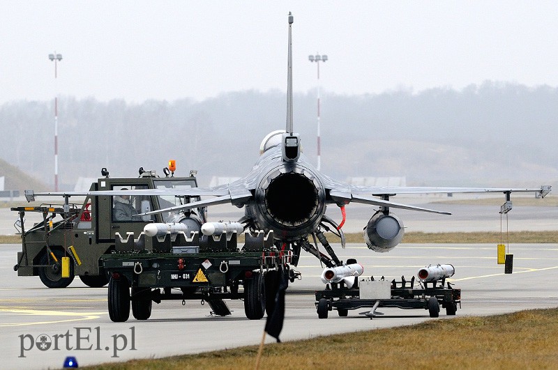   "Odlotowi" Belgowie w Królewie Malborskim zdjęcie nr 101152