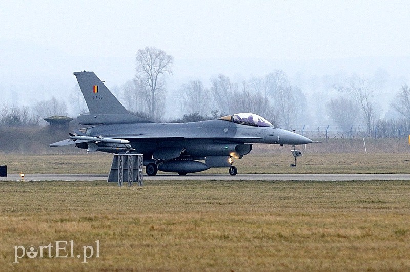   "Odlotowi" Belgowie w Królewie Malborskim zdjęcie nr 101161