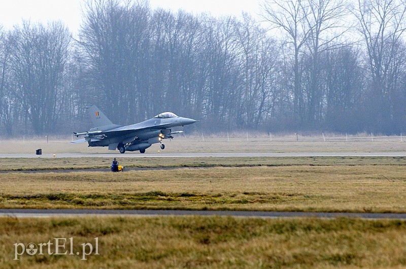   "Odlotowi" Belgowie w Królewie Malborskim zdjęcie nr 101162