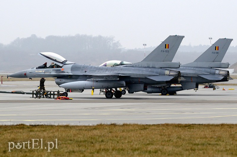   "Odlotowi" Belgowie w Królewie Malborskim zdjęcie nr 101154