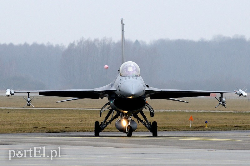   "Odlotowi" Belgowie w Królewie Malborskim zdjęcie nr 101164