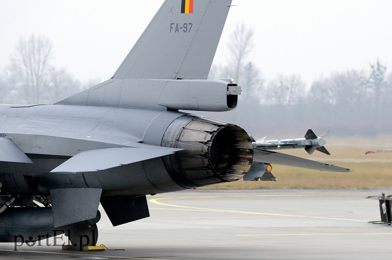   "Odlotowi" Belgowie w Królewie Malborskim zdjęcie nr 101136