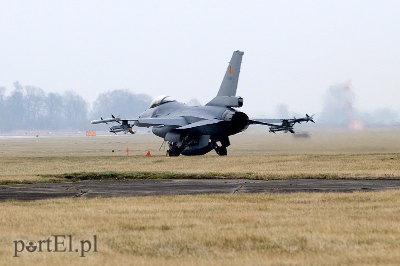   "Odlotowi" Belgowie w Królewie Malborskim zdjęcie nr 101142