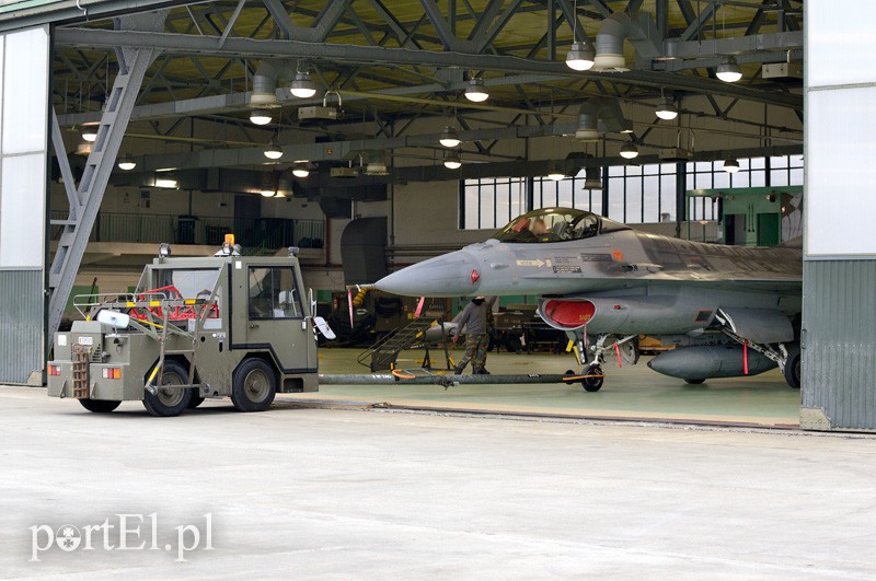   "Odlotowi" Belgowie w Królewie Malborskim zdjęcie nr 101148