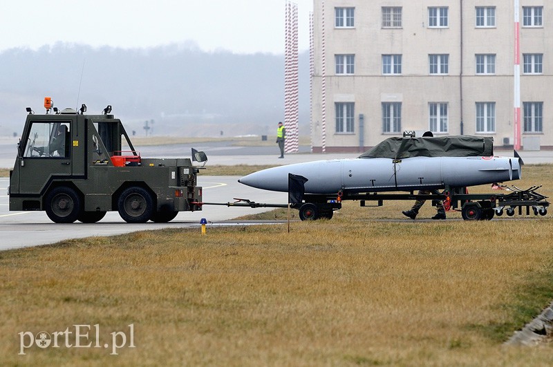   "Odlotowi" Belgowie w Królewie Malborskim zdjęcie nr 101156