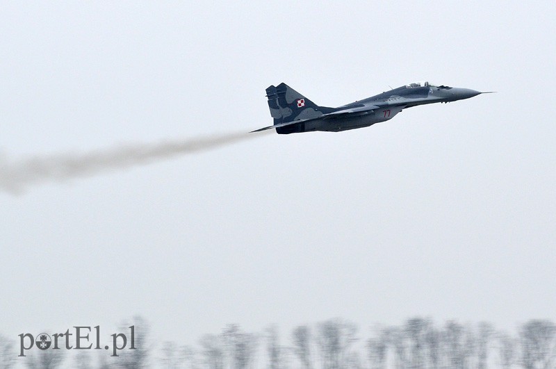   "Odlotowi" Belgowie w Królewie Malborskim zdjęcie nr 101151