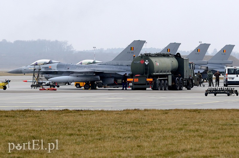   "Odlotowi" Belgowie w Królewie Malborskim zdjęcie nr 101165