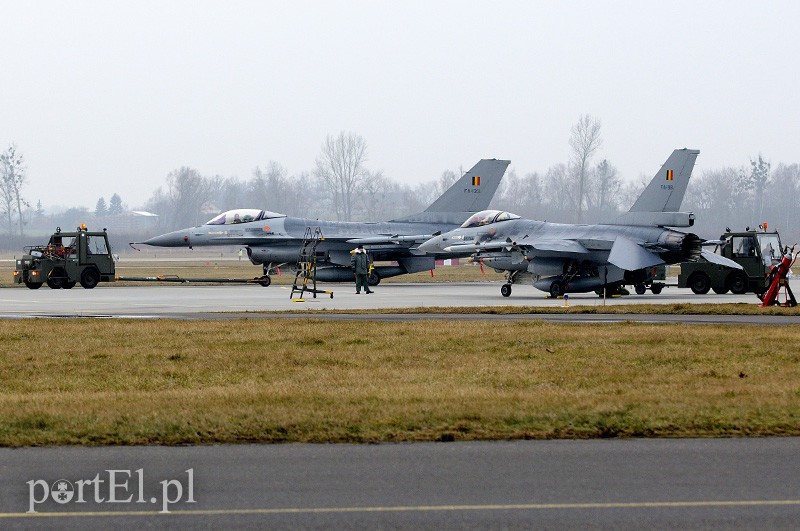   "Odlotowi" Belgowie w Królewie Malborskim zdjęcie nr 101145