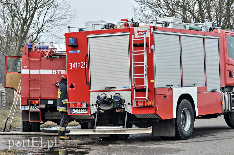 Groźny pożar traw w Jegłowniku zdjęcie nr 102031