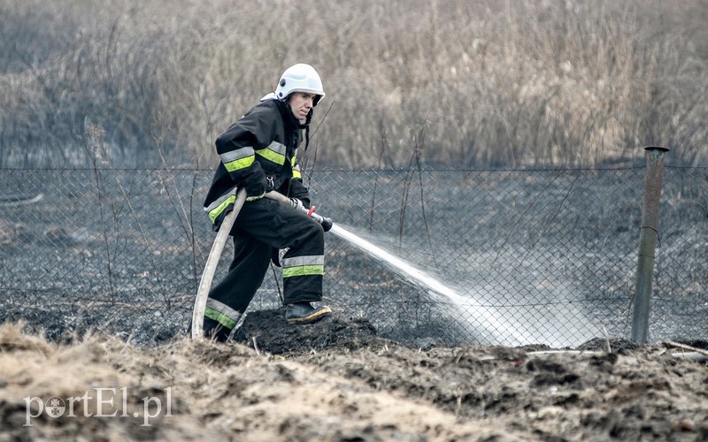 Groźny pożar traw w Jegłowniku zdjęcie nr 102032