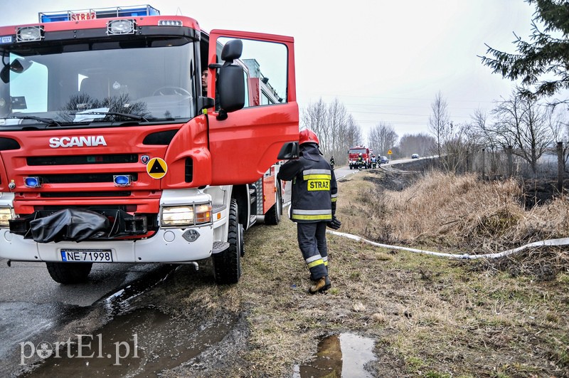 Groźny pożar traw w Jegłowniku zdjęcie nr 102034