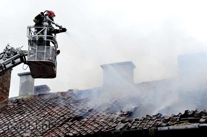 Pożar przy Nowodworskiej zdjęcie nr 102100
