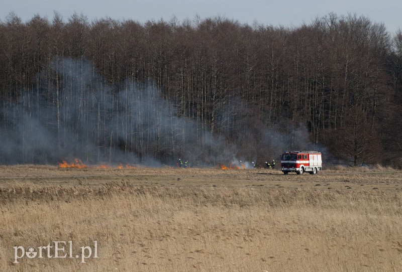 Płonęły trawy w Kadynach zdjęcie nr 102263