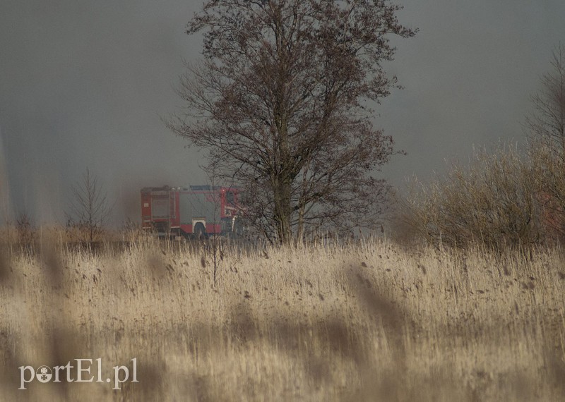 Płonęły trawy w Kadynach zdjęcie nr 102268