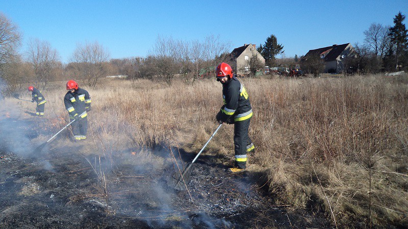 Groźny pożar traw na przedmieściach zdjęcie nr 102505
