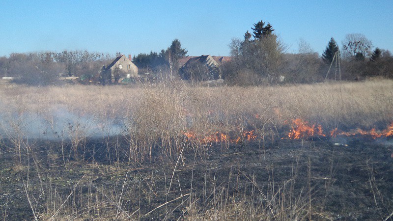 Groźny pożar traw na przedmieściach zdjęcie nr 102501