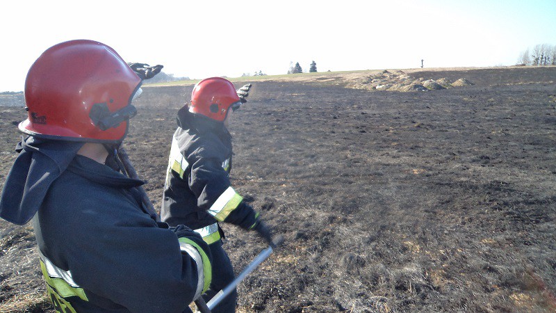 Groźny pożar traw na przedmieściach zdjęcie nr 102507