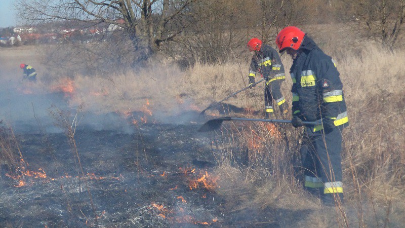 Groźny pożar traw na przedmieściach zdjęcie nr 102504