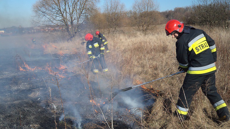 Groźny pożar traw na przedmieściach zdjęcie nr 102503